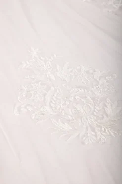 ASTER Long Wedding Veil with Lace Appliques