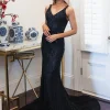 Fiona Lace Gown - Black